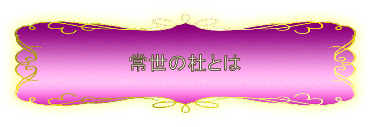常世の杜とは